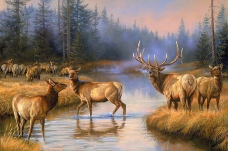 Autumn Mist - attractions in dreams, streams, paintings, autumn beauty, fall, elk, forests, nature, autumn, deer, mist, love four seasons, draw and paint, animals