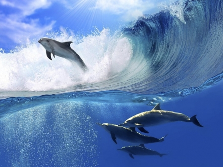 Ocean dreams - ocean, peaceful, water, colorful, wave, lovely, beautiful, splendor, dolphins, earth