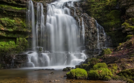 Waterfall - nature, forest, tree, waterfall, grass