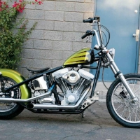 Custom Built Harley