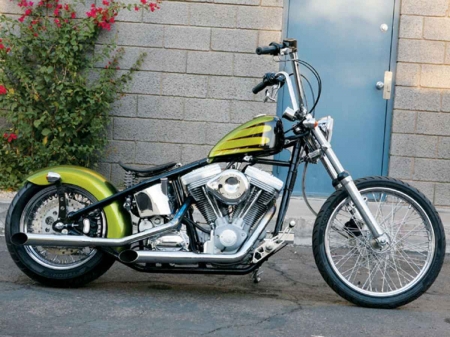 Custom Built Harley - harley, chopper, motorcycle, bike