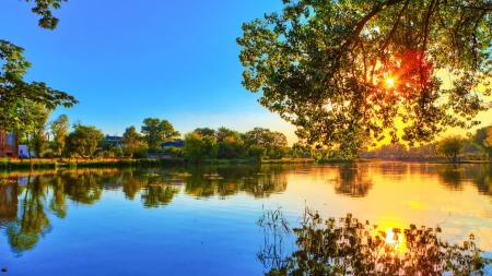 Lake Sunset - nature, sunset, trees, reflection