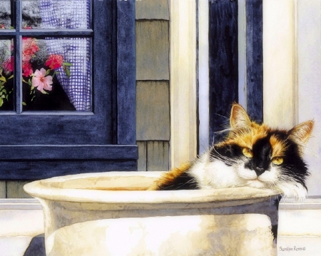 Soak in the Tub - love four seasons, animals, cats, draw and paint, paintings, flowers, cute, kitten