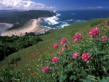 Untitled Wallpaper - island view, cascade head oregon