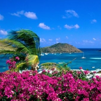 French Cul de Sac_ Saint Martin