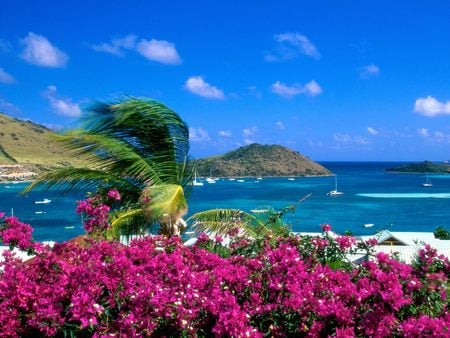 French Cul de Sac_ Saint Martin - beaches, beach, sky, tropics, paradise, mountains, wallpaper, wish you were here, nature, oceans, blue, flowers, sea, new, paraside