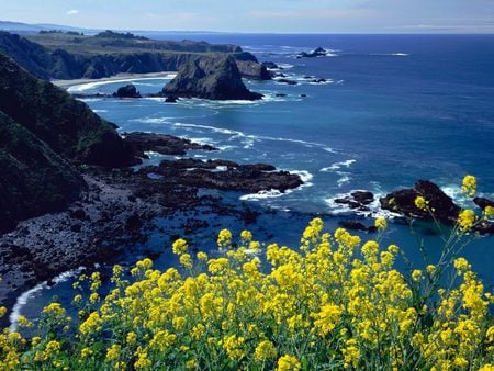 Untitled Wallpaper - beach, flowers