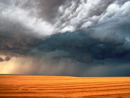 Untitled Wallpaper - storm, field