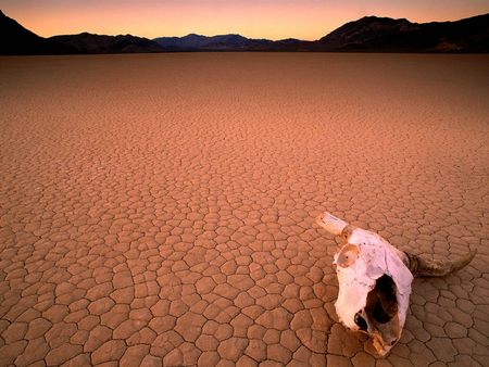 Untitled Wallpaper - california, death valley