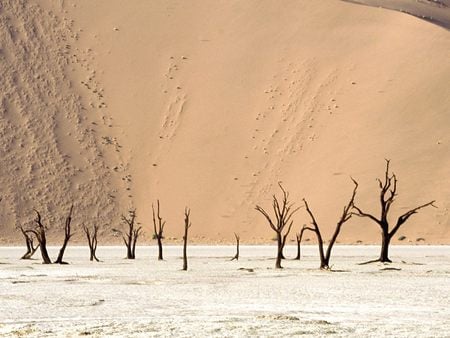 Untitled Wallpaper - namibia, ulei namib desert, africa