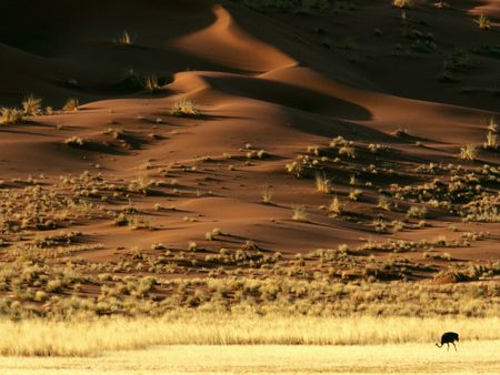 Untitled Wallpaper - rising sands, namib desert, namibia, africa