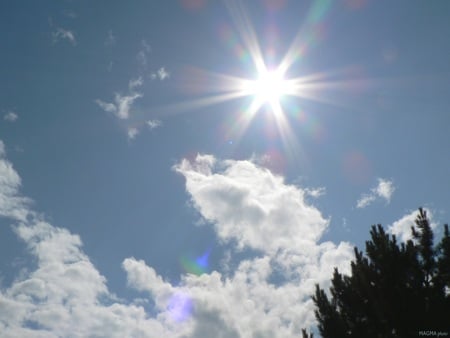 summer sky - clouds, summer, druffix, tree, sun, sky, desktopart