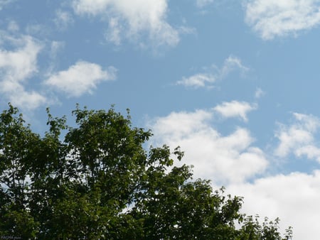 summer sky 2 - clouds, summer, druffix, tree, sun, sky, desktopart