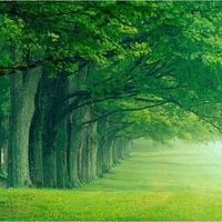 Green Nature