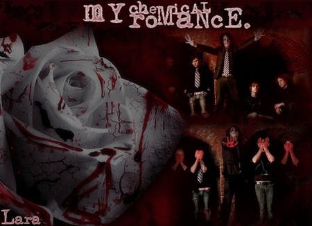 my chemical romance  - my chemical romance