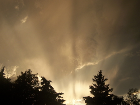 Light Through Trees - clouds, trees, photos-clouds-lights-sky-trees-wallpaper, tress, weather, light, sky, wallpaper