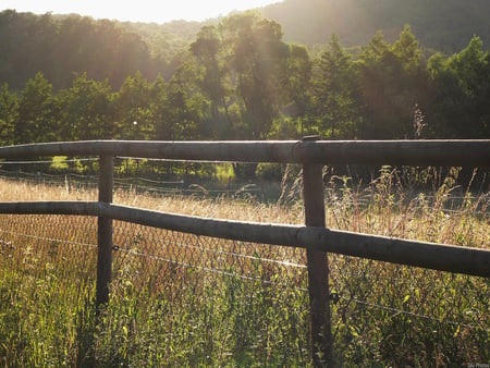 soft world - romantic, windows, cool, fence, grasses, sunset, nature, lights, sun