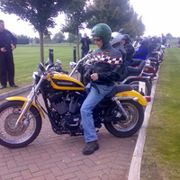harley davidson sportster