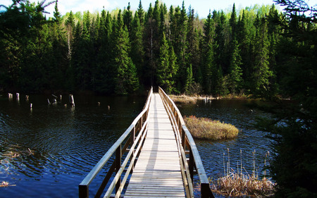 Armstrong Bridge - ontario, lake, wakami lake, sultan, armstrong, provincial park, bridge, northern ontario, chapleau