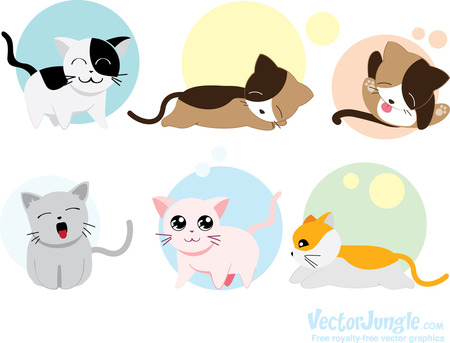 Cute Cats - patched, kittens, meowing, cats, sleeping, sitting