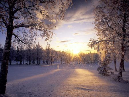 Fresh Snow - nature, alaska, snow, winter, sunrise, arctic