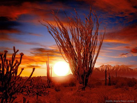 Sunset In The Dessert - arizona, skies, sunset, dessert, sunrise