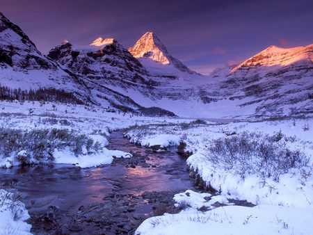 Alpine Glow Mount Assiniboine British Columbia Canada - river, winter, nature, landscape, snow, sunrise, mountains