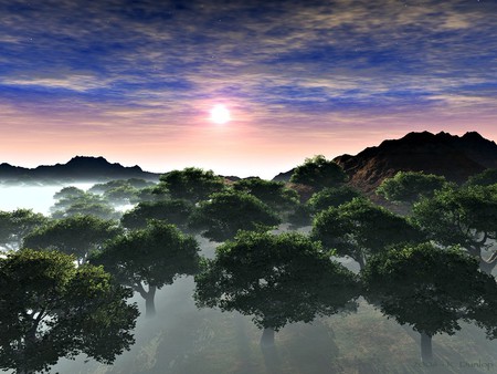 Trees and fog - nature, 3d