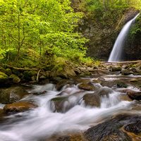 Oneonta Falls