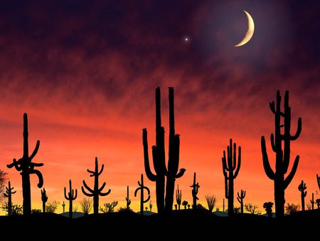 Saguaro National Park Arizona - moonlit, hot, magenta, colorful, sunset, amazing, purple, yellow, cool, sunny, saguaro national park, moonlight, desert, dusk, cactus, landscape, tus, park, nature, gree orange, 3d, beautiful, photoshop, beauty, nice, sky, sunshine, photography, fantasy, black, arizona, cacti, clouds, usa, olors, sand, moon, stars, night, plants, violet, hd, abstract, colours, red, twilight, awesome, photo