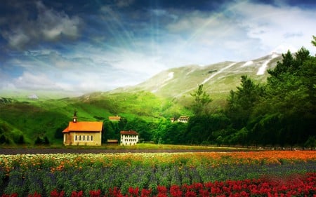 LE FLEURS DEL VALLES - photo, nature, landscape, manipulation