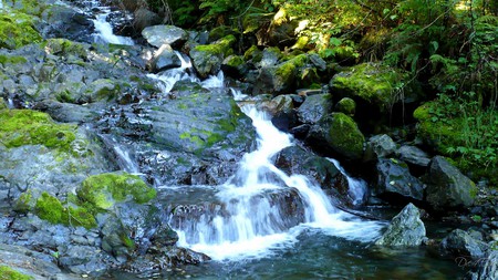 Mountain Falls - widescreen, fall, creek, falls, washington, rocks