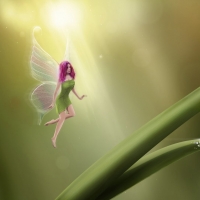 Fairy Wallpapers - Page 6 - Desktop Nexus