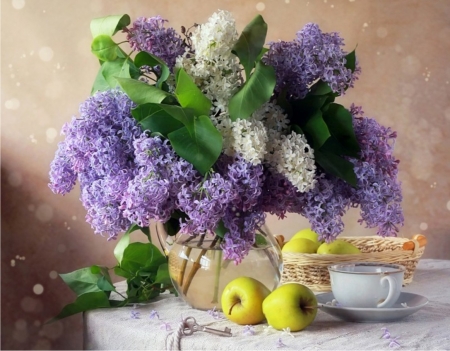 Still Life - flowers, floral, photography, soft