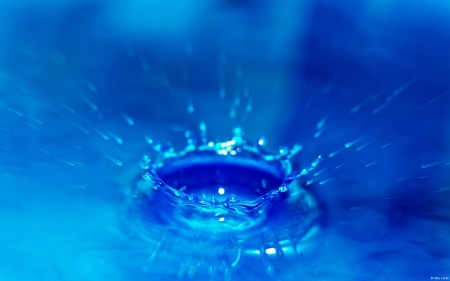 Blue waterdrop - abstract, water, summer, photography, drops, fresh, nature, waterdrop, background