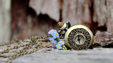 time clock - love, bokeh, petals, blue, flowers, watch, time