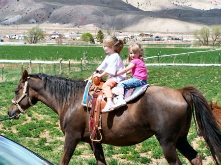 Cowgirl's Life Begins