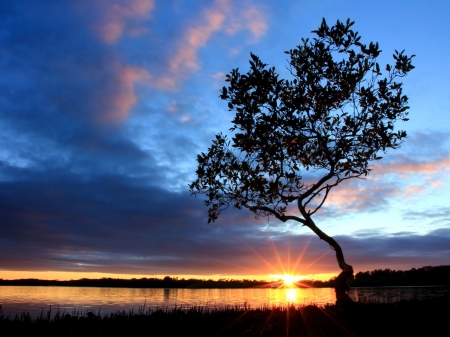 Sunrise Over the Lake - nature, lake, trees, clouds, sunrise