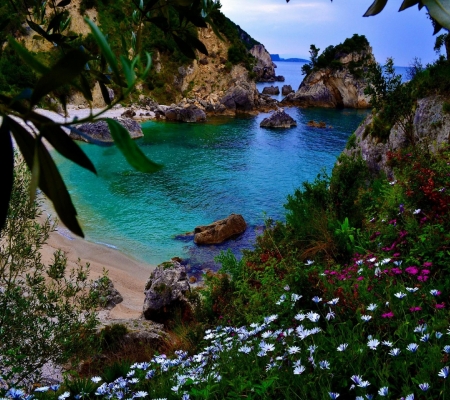 beautiful nature - flower, nature, mountain, beach