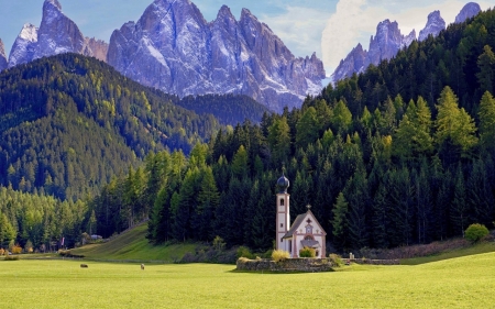 Church in italy - italy, tree, church, nature