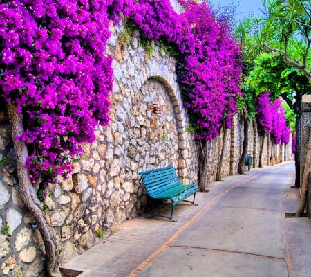 Italy - bench, italy, peace, flower