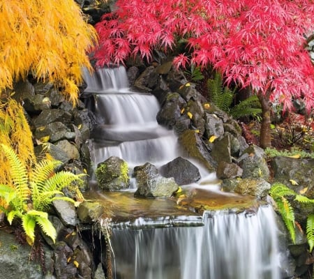 Waterfall_Nature - nature, tree, waterfall, flower