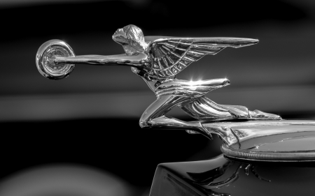 Goddess of speed - goddess of speed, packard, black, retro, white, car, vintage, wings, bw, wheel