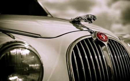 Front Grill of a Jaguar - grill, cars, jaguar, emblem