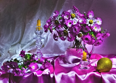 Still Life - purple, flowers, still life, vase