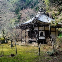 Tea House