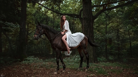 Friendship - nature, friendship, girl, horse