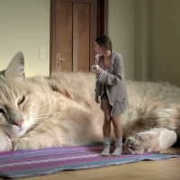 Big Cat & Woman