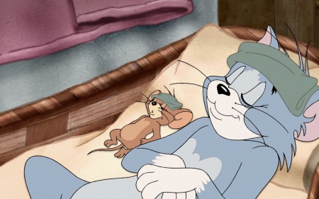 Tom and Jerry - entertainment, tom, funny, tom and jerry, jerry