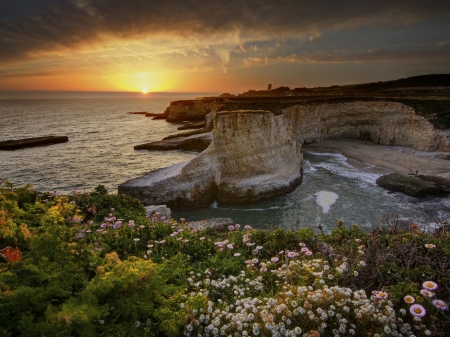 Beach Sunset - nature, ocean, beach, flowers, sunset, sea, rocks